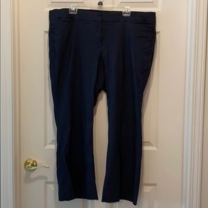 Dress Pants “The Allie” Lane Bryant